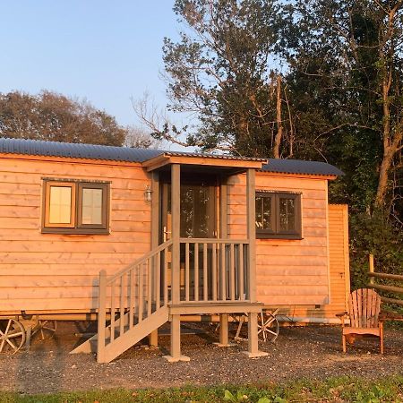 Lle Mary - Beautiful Views, Hot Tub, Secluded, Dog Welcome, Barmouth Llanddwywe Εξωτερικό φωτογραφία