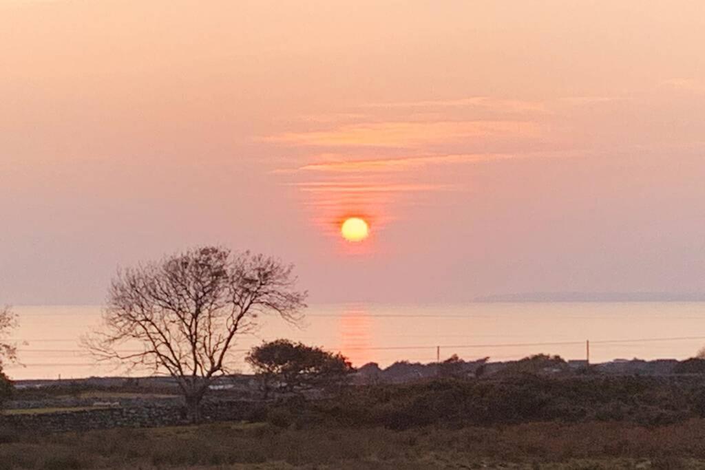 Lle Mary - Beautiful Views, Hot Tub, Secluded, Dog Welcome, Barmouth Llanddwywe Εξωτερικό φωτογραφία