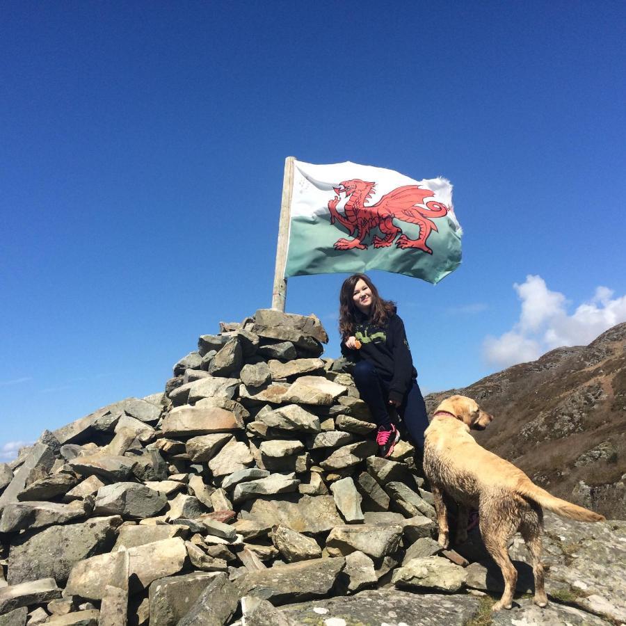 Lle Mary - Beautiful Views, Hot Tub, Secluded, Dog Welcome, Barmouth Llanddwywe Εξωτερικό φωτογραφία