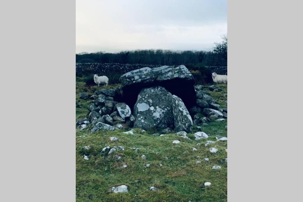 Lle Mary - Beautiful Views, Hot Tub, Secluded, Dog Welcome, Barmouth Llanddwywe Εξωτερικό φωτογραφία