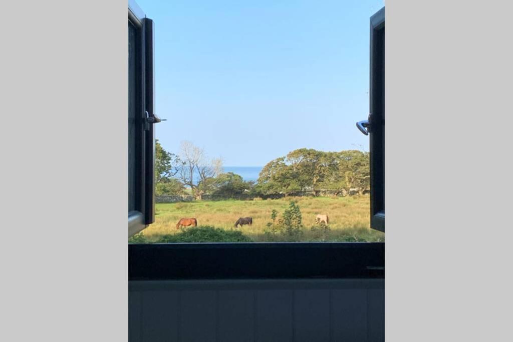 Lle Mary - Beautiful Views, Hot Tub, Secluded, Dog Welcome, Barmouth Llanddwywe Εξωτερικό φωτογραφία